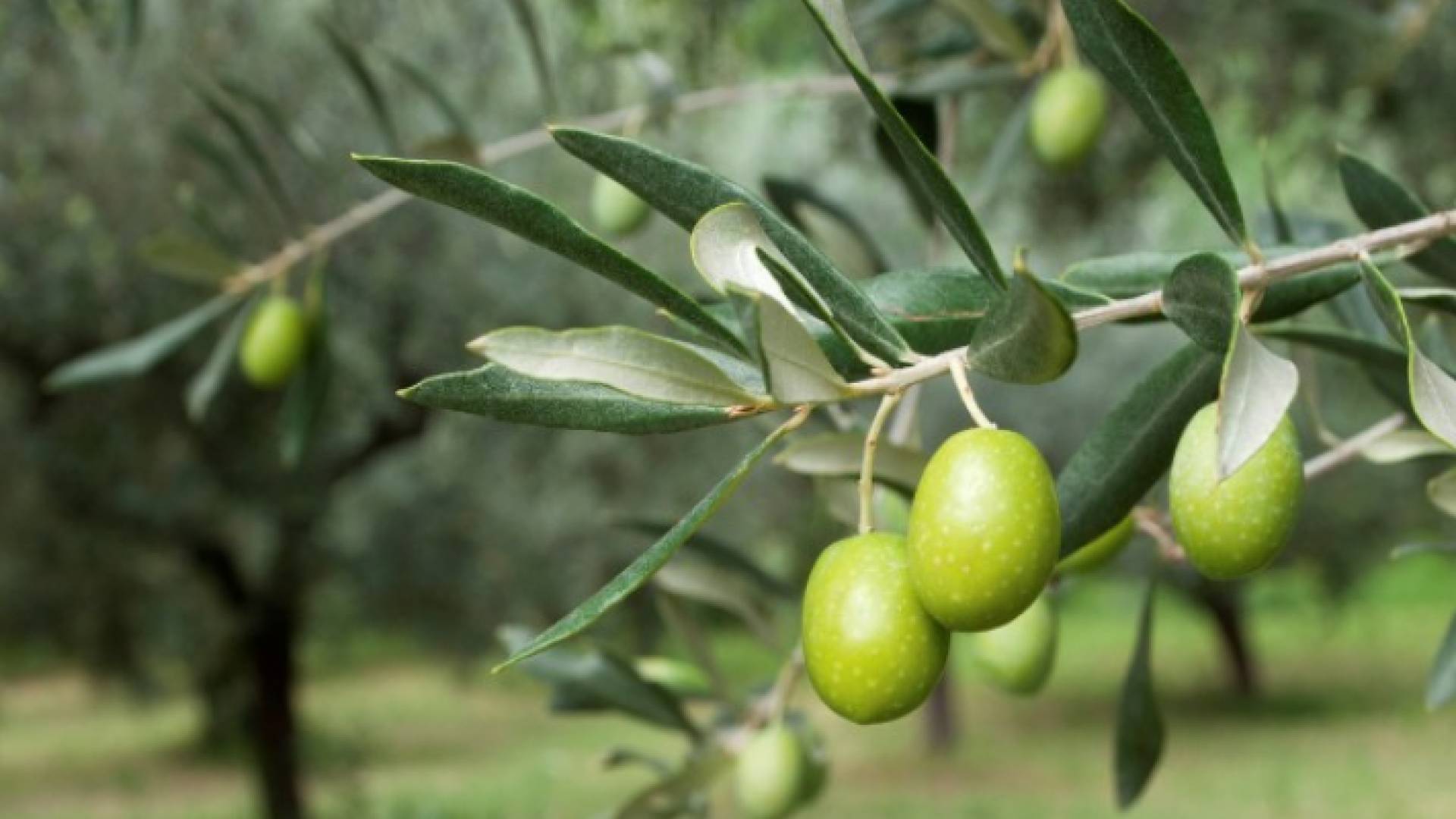 الصورة أرشيفية