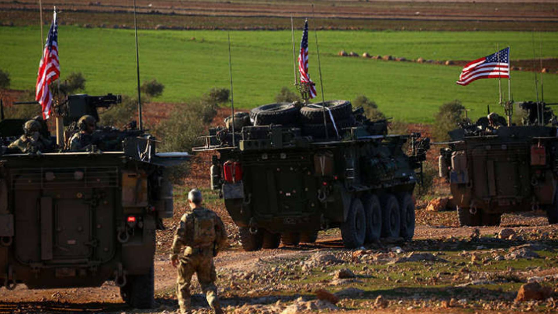 ارشيفية