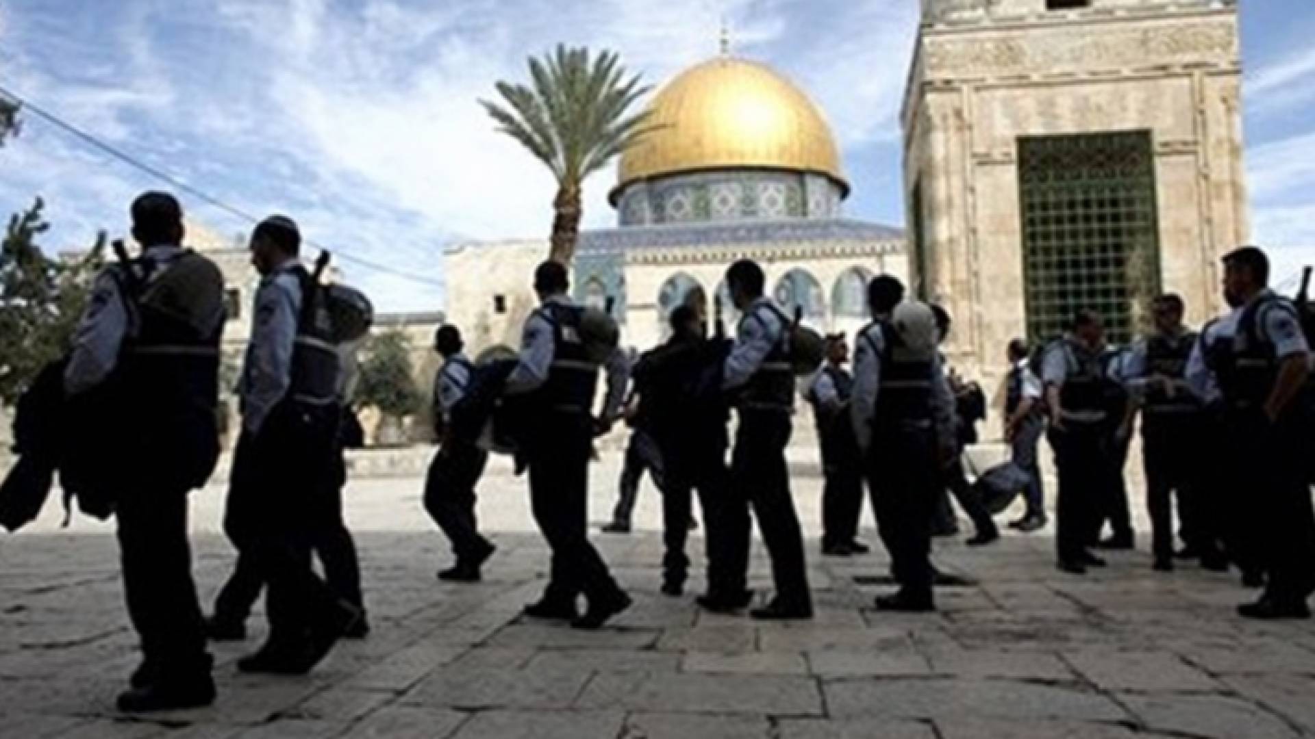 117 مستوطنا يقتحمون الأقصى وسط قيود مشددة