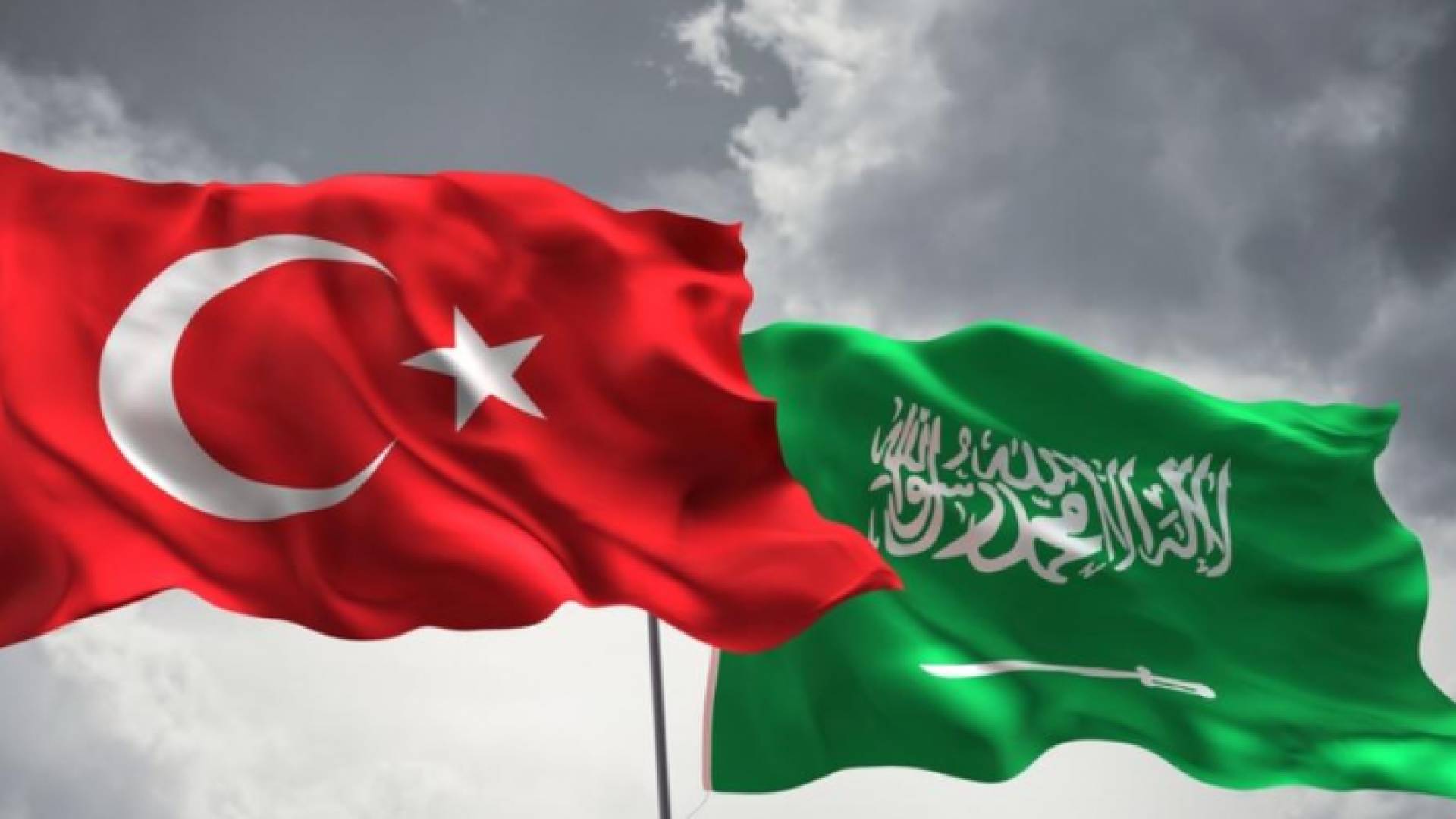 علما السعودية وتركيا