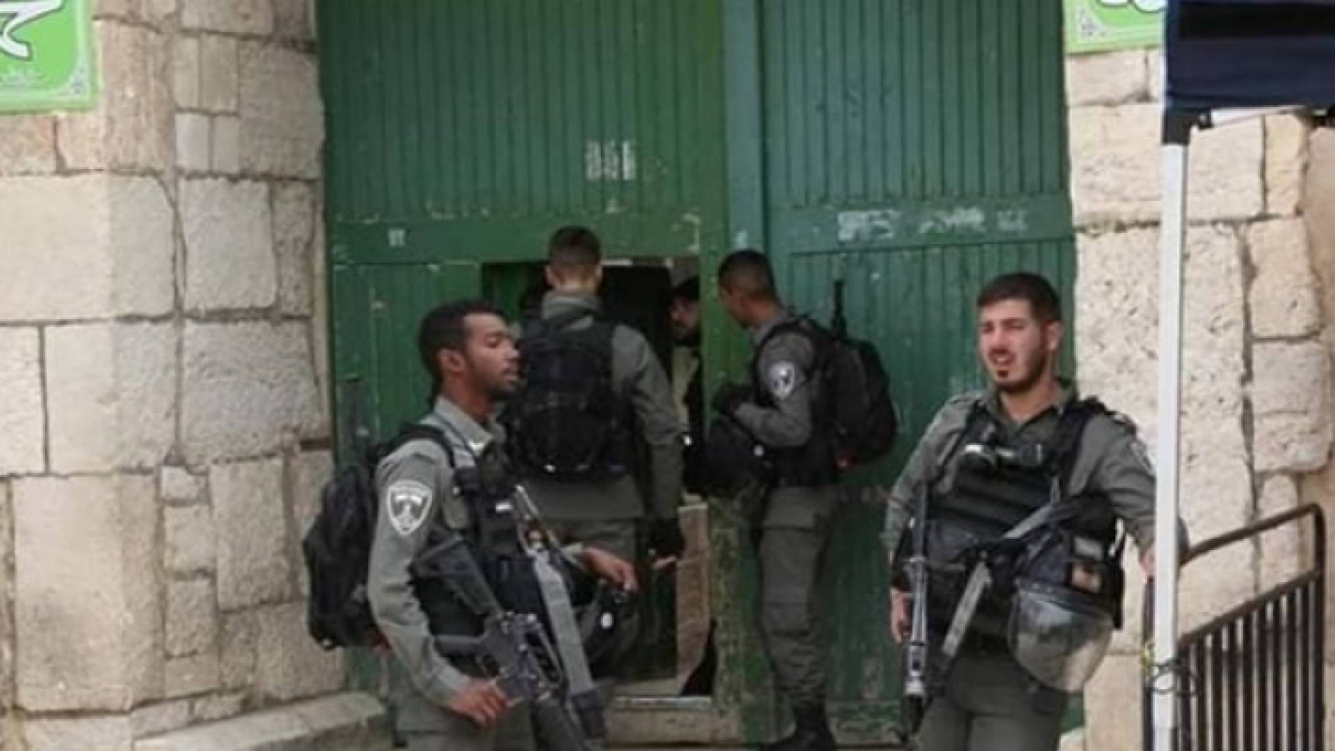 عناصر الاحتلال