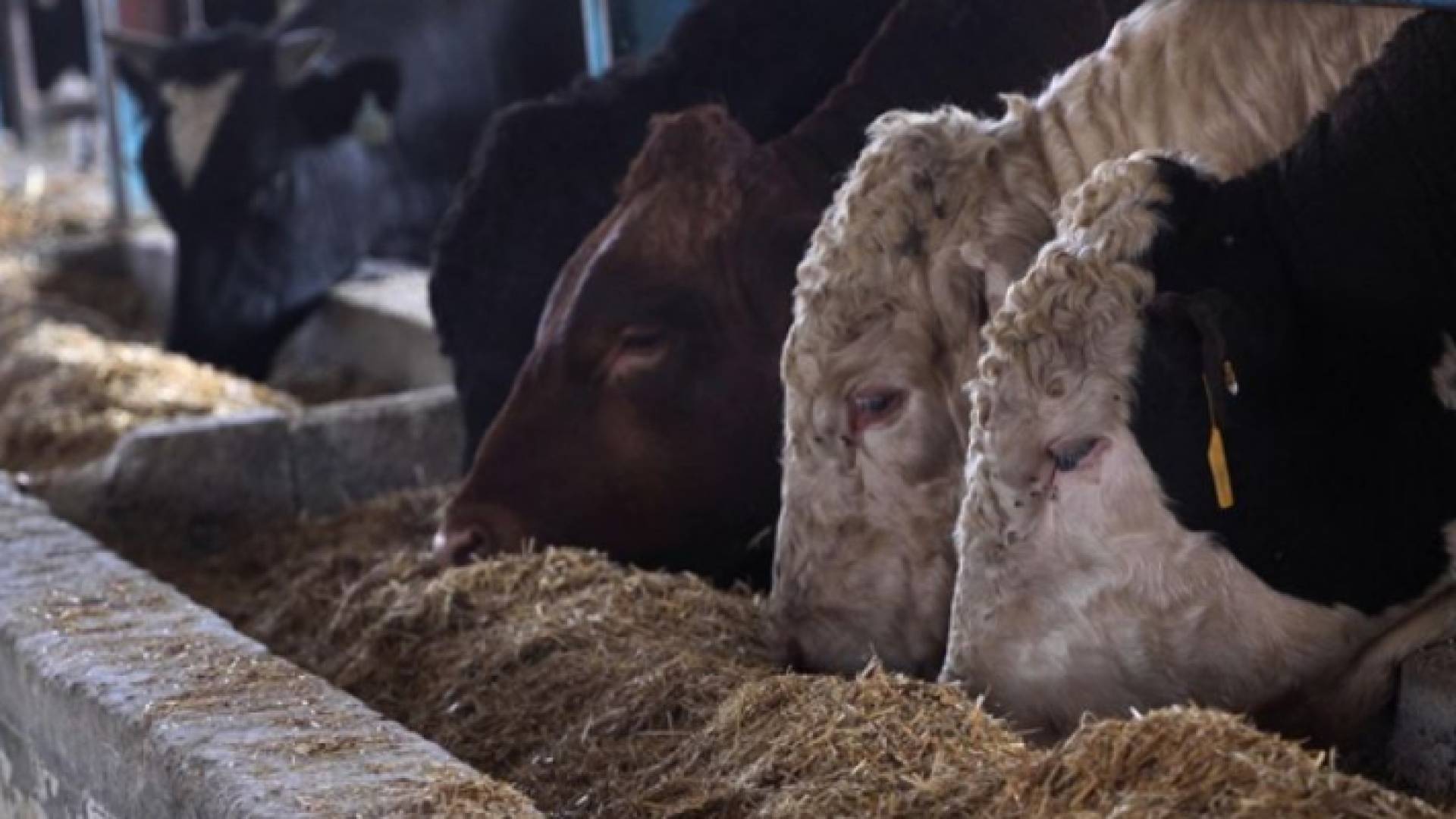 الصورة أرشيفية