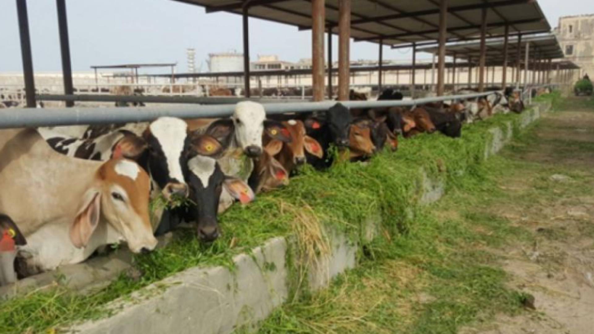 الصورة أرشيفية