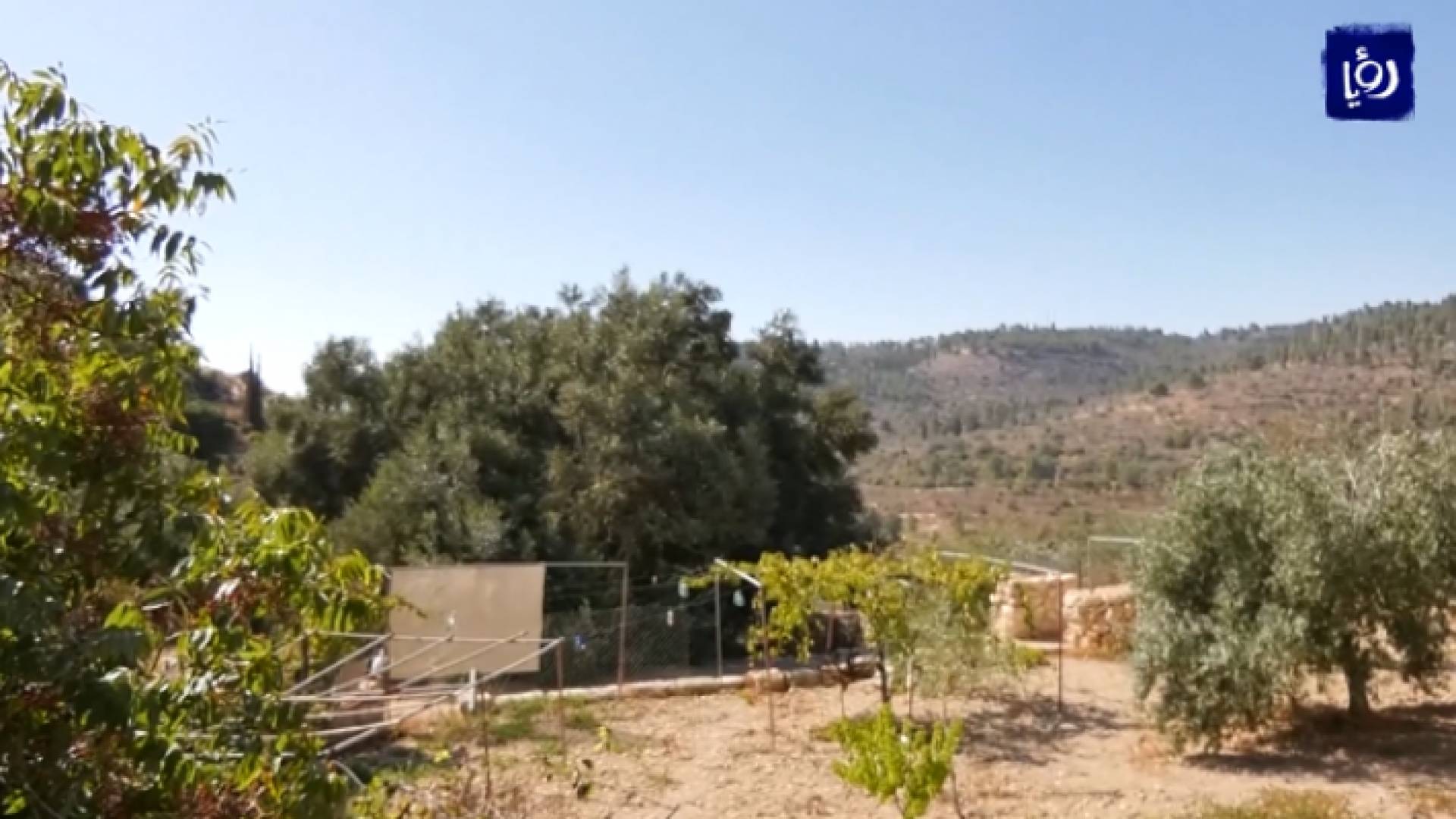 صورة من الفيديو