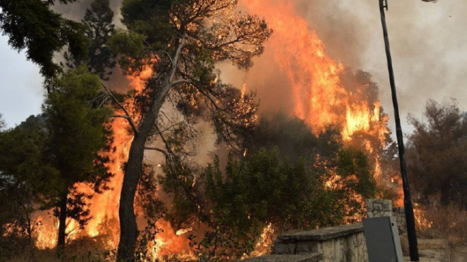 من الحرائق في لبنان