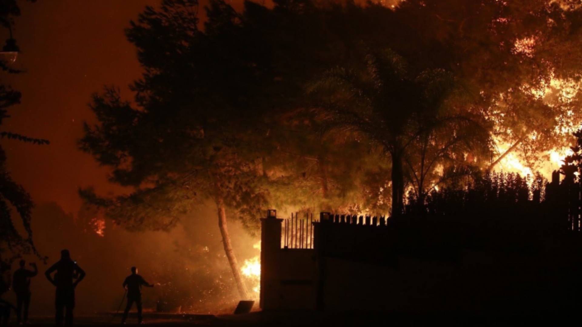 حرائق لبنان .. فاجعة جديدة وبكاء وصرخات نزوح