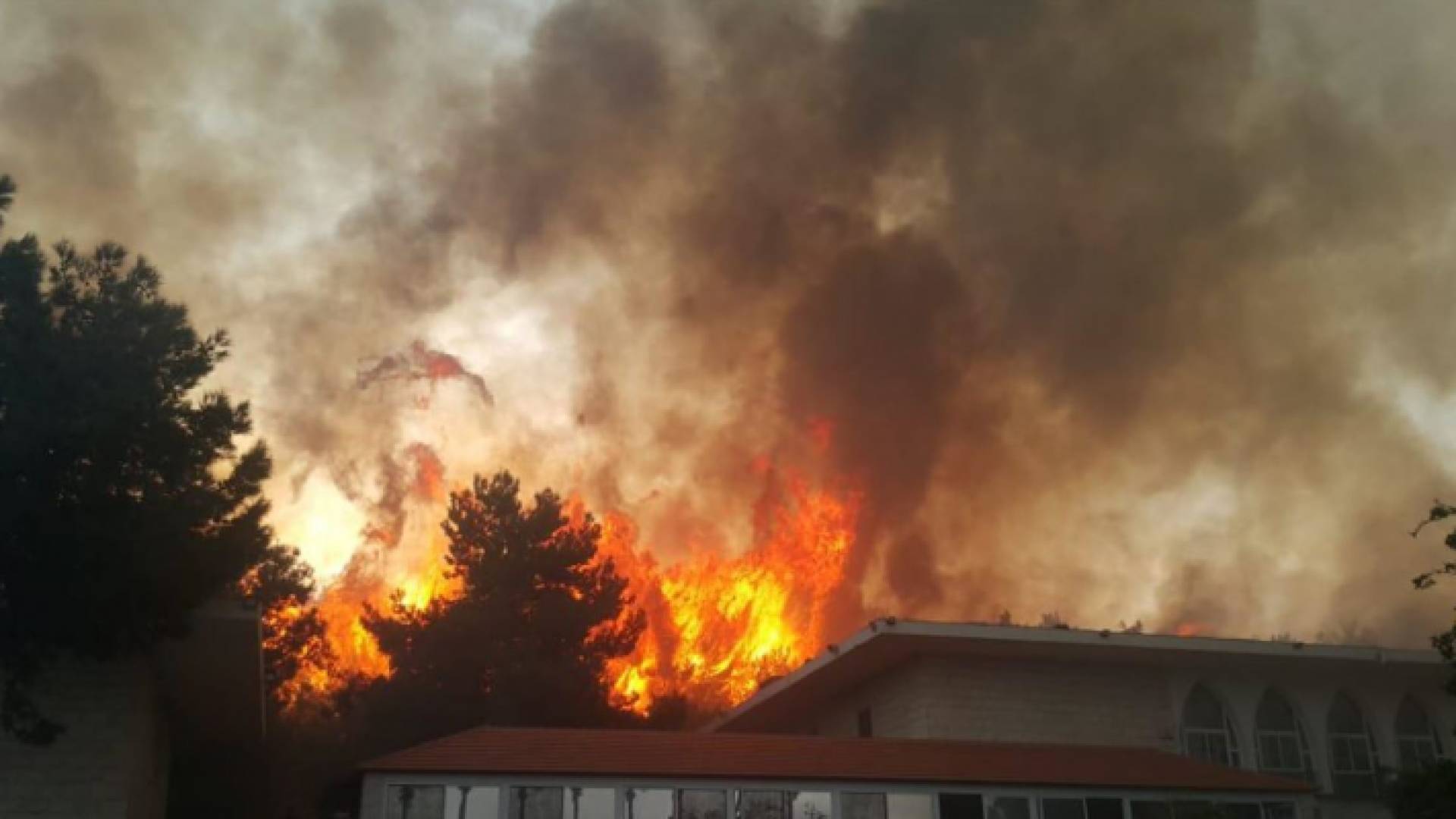 عشرات الحرائق تجتاح لبنان
