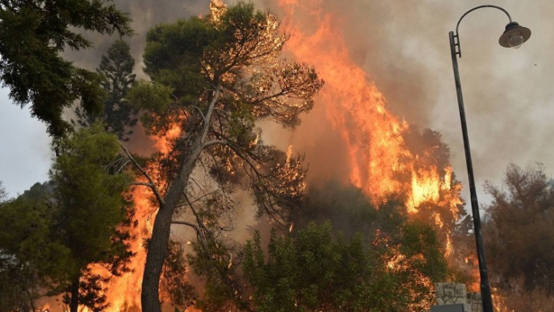 من حرائق اللبنان