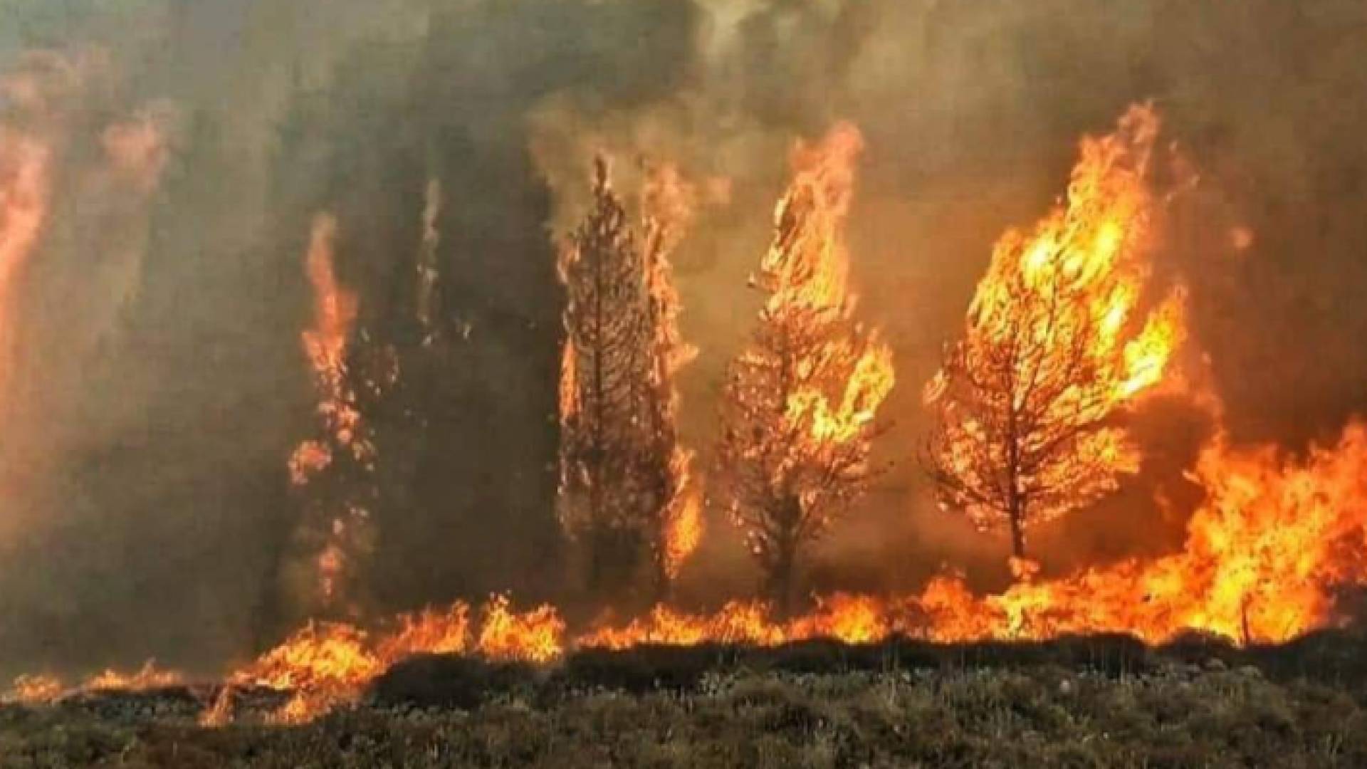 حرائق في سوريا