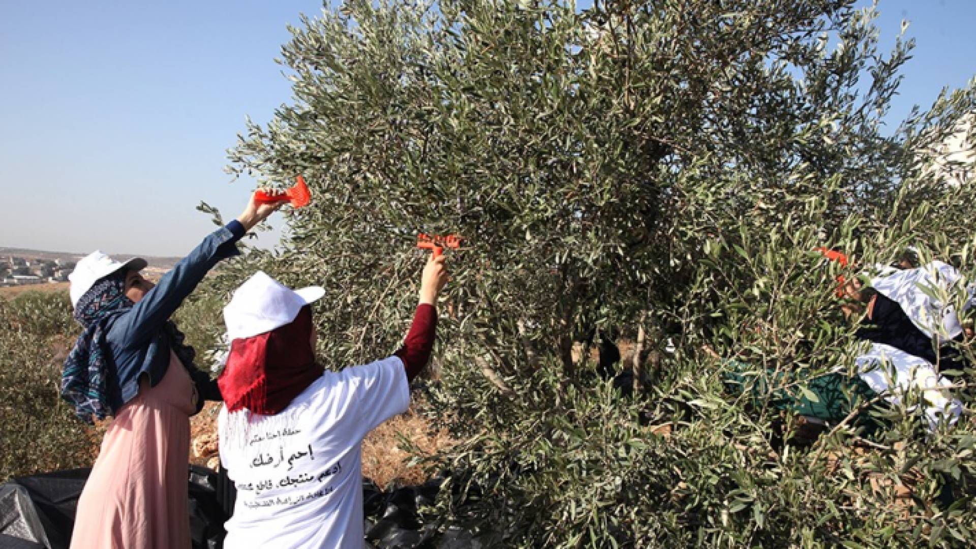 الصورة أرشيفية