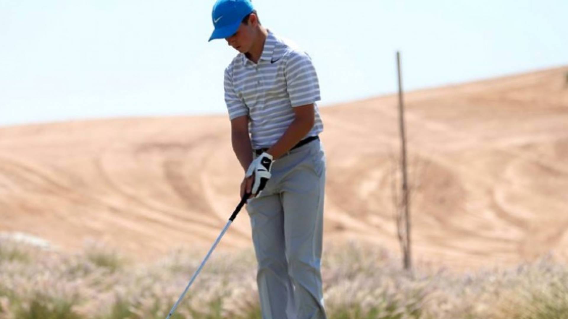 شيرغو الكردي