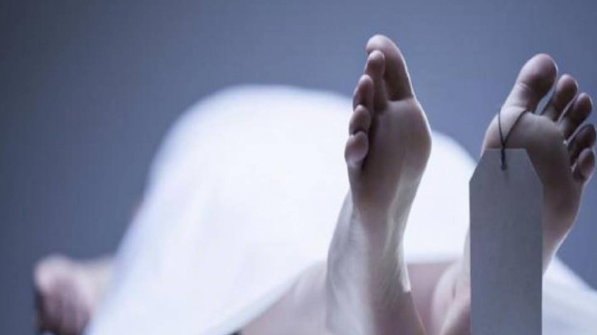 لم تستطع أن تقلد