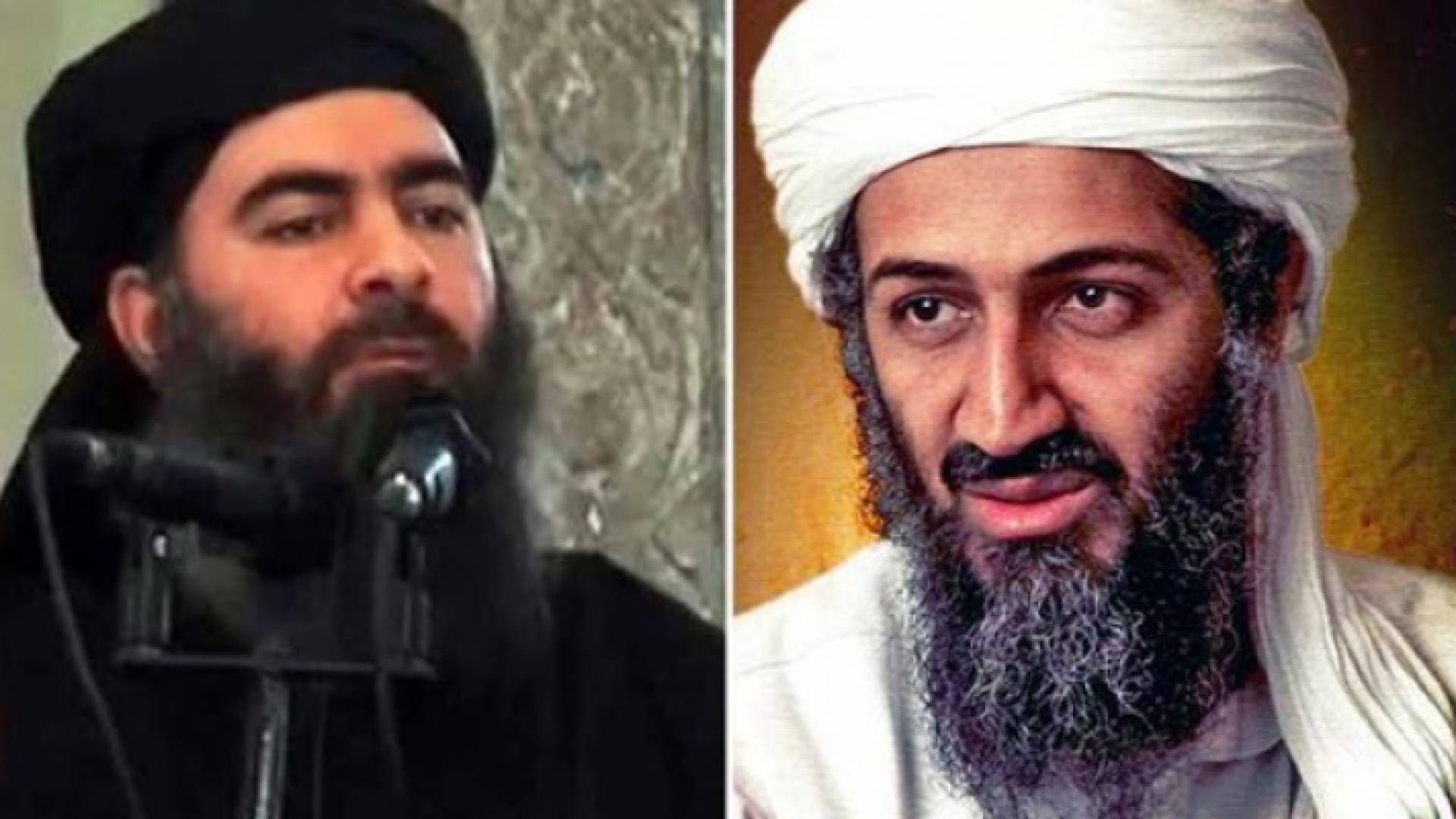 أسامة بن لادن وأبو بكر البغدادي