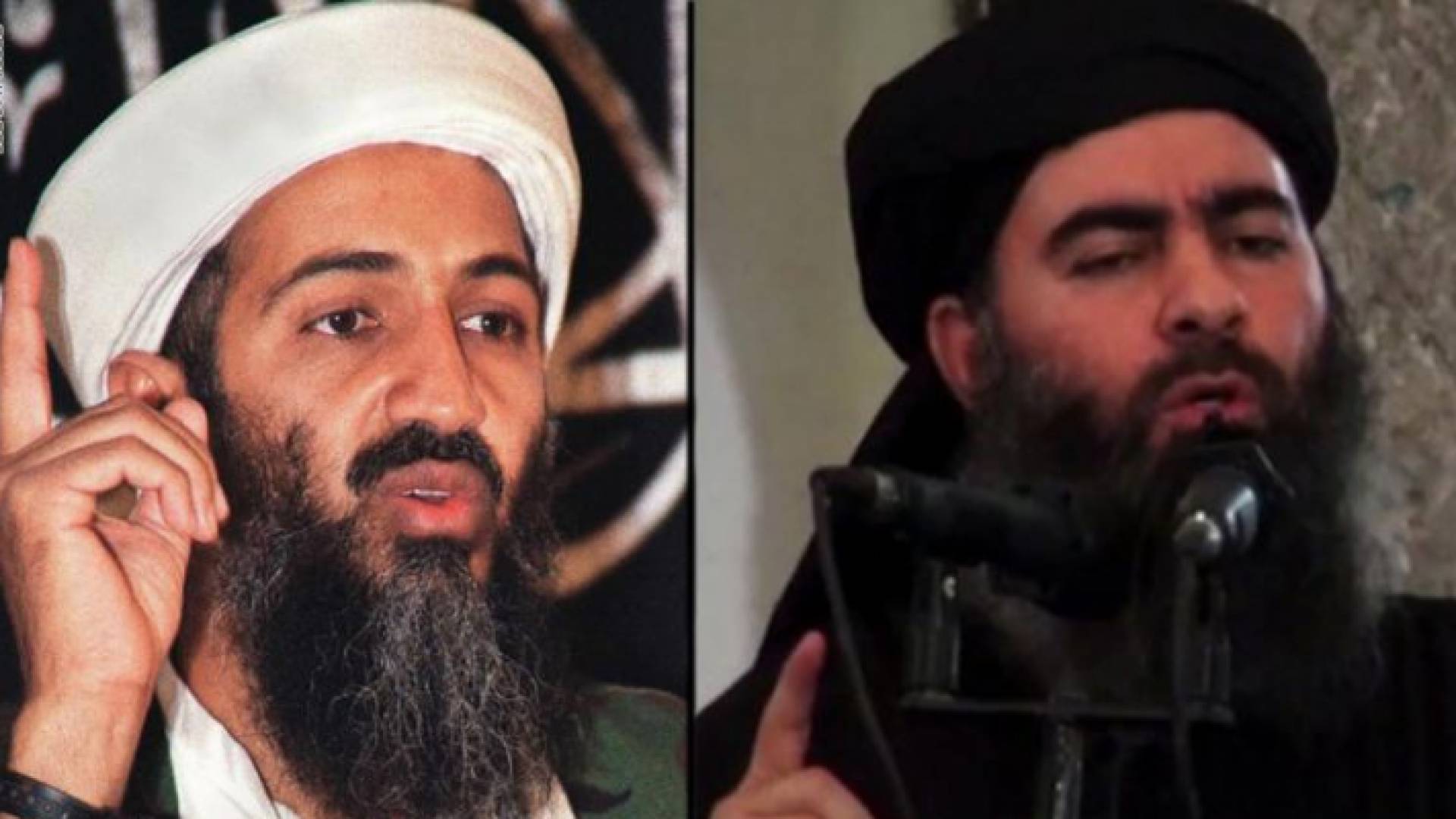 أبو بكر البغدادي وأسامة بن لادن