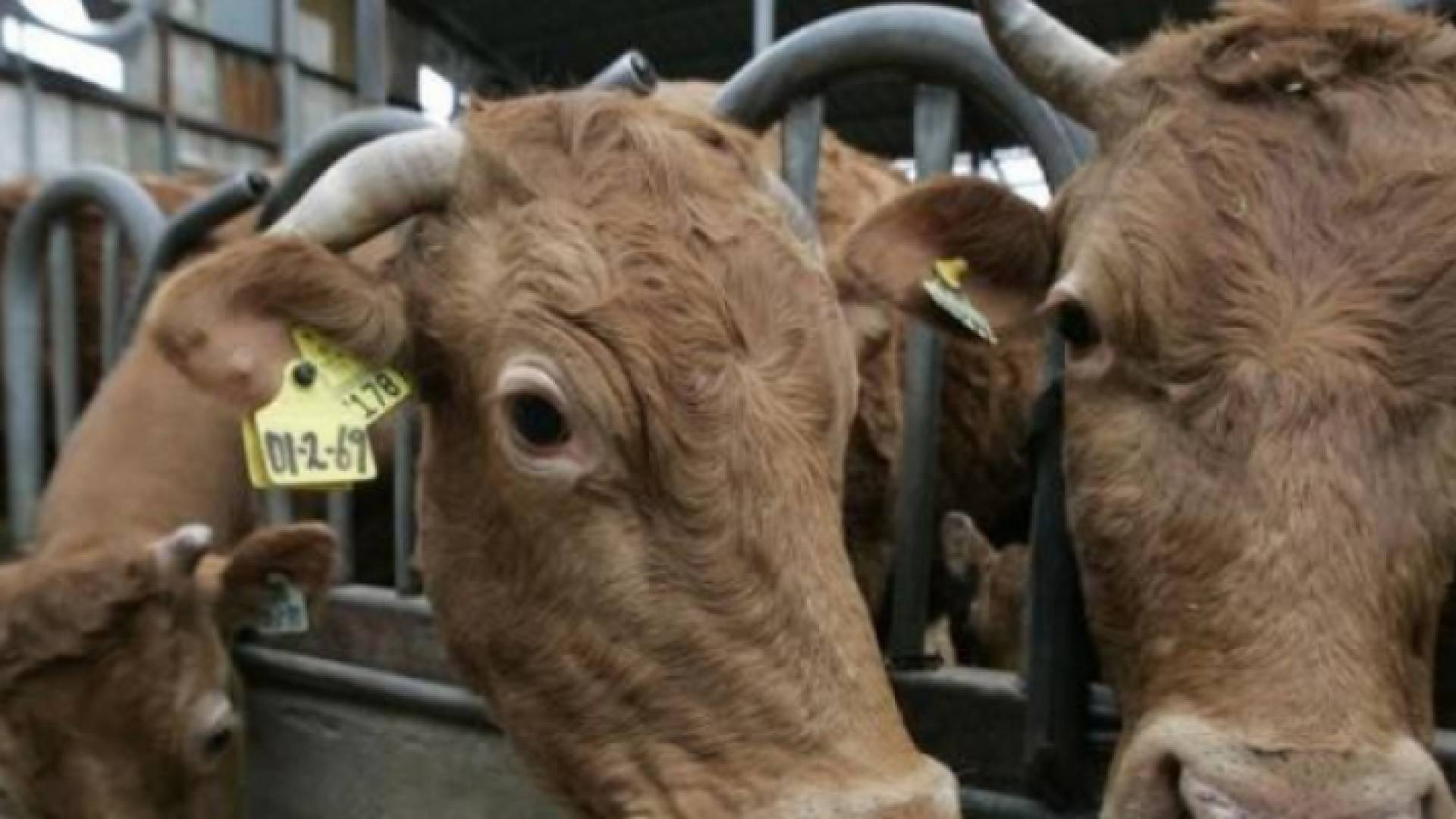 يقول اشتيه السلطة بدأت بالانفكاك التدريجي عن العلاقة مع الاحتلال