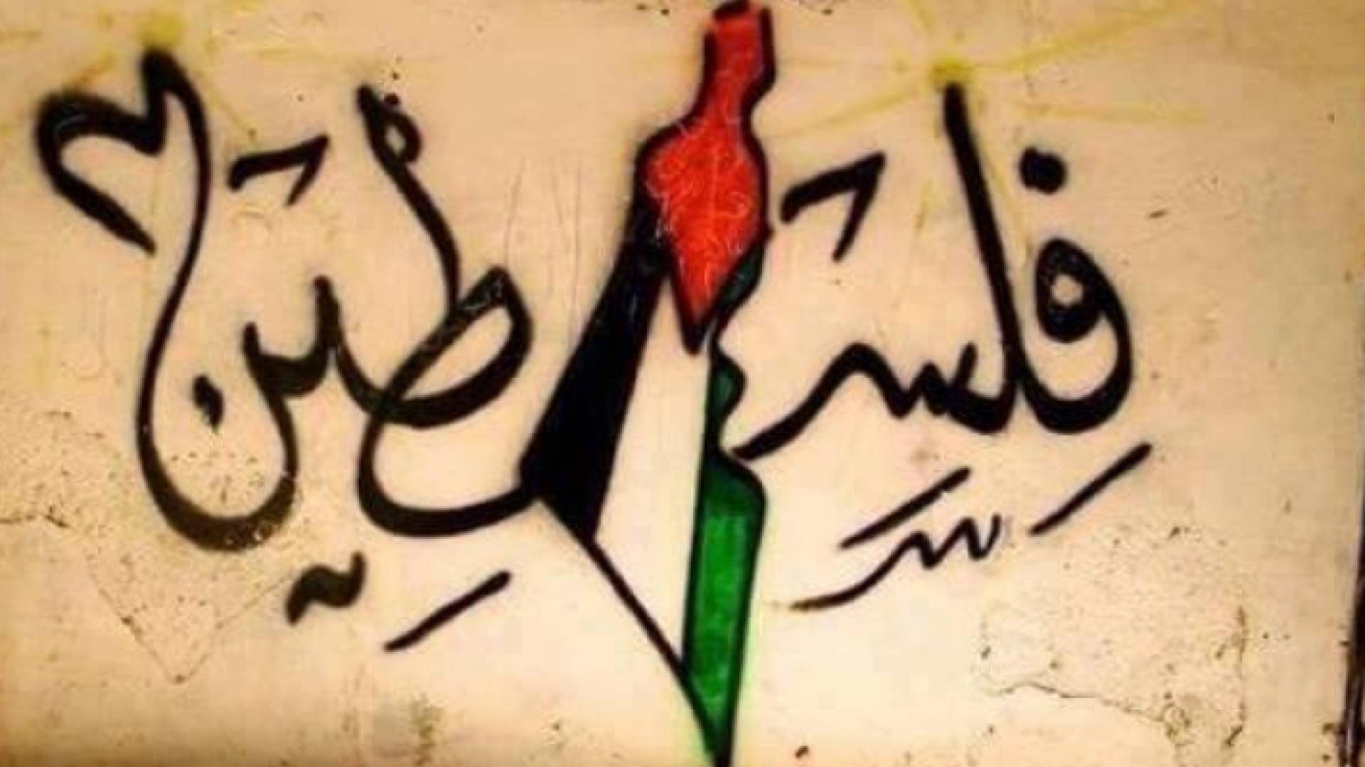 الصورة تعبيرية