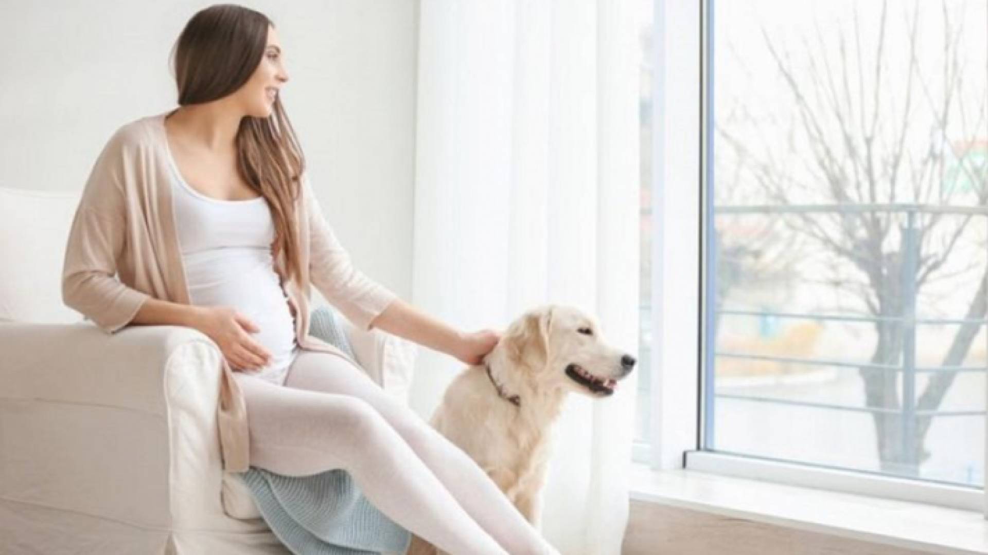 الصورة أرشيفية