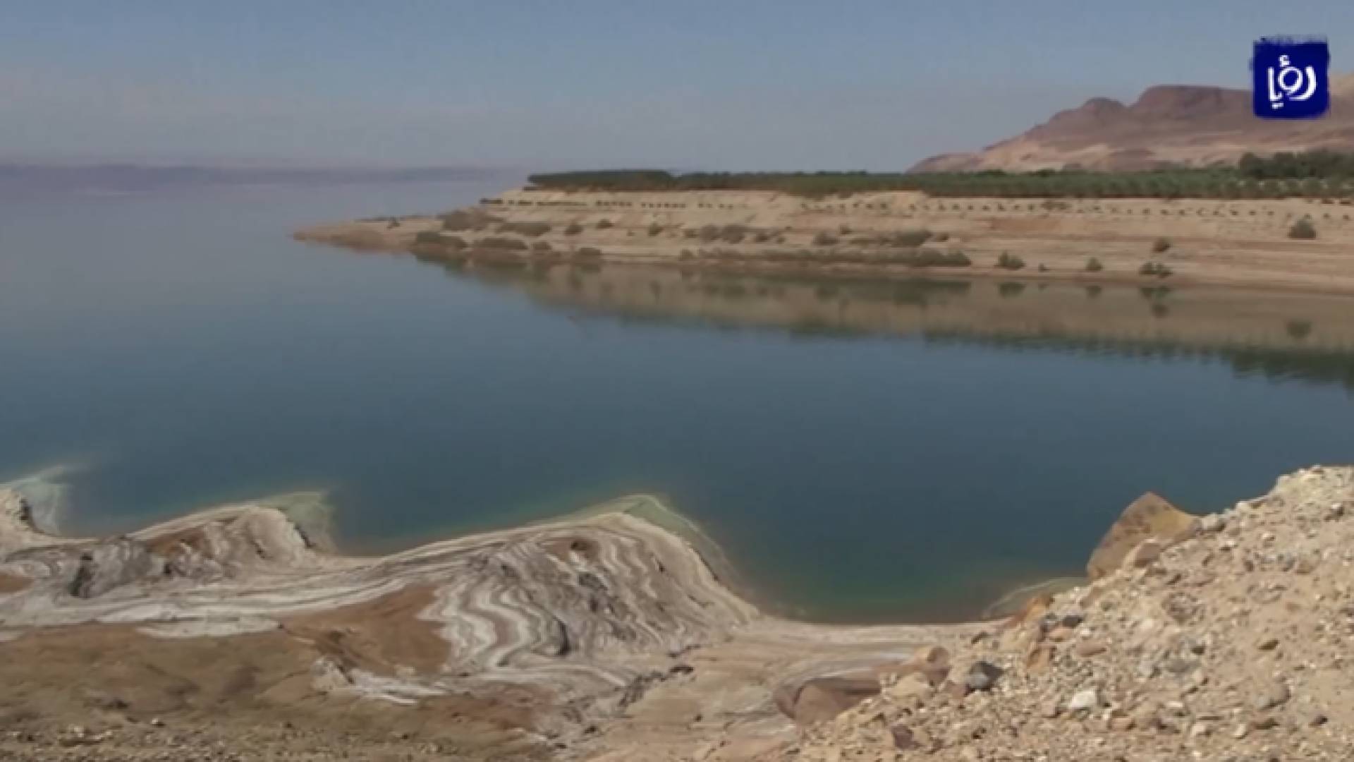 صورة من الفيديو