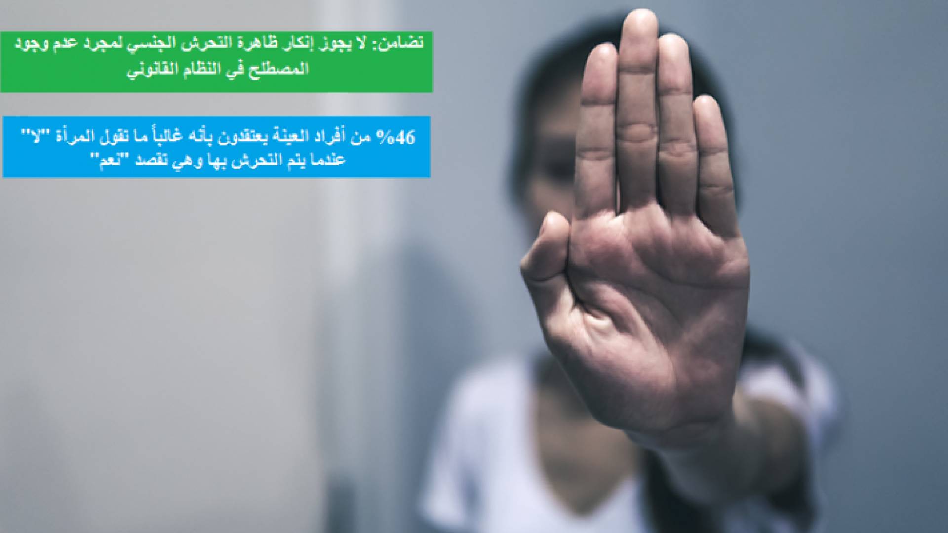 تضامن تدعو لإنشاء نظام إنذار مبكر شامل لظاهرة التحرش الجنسي