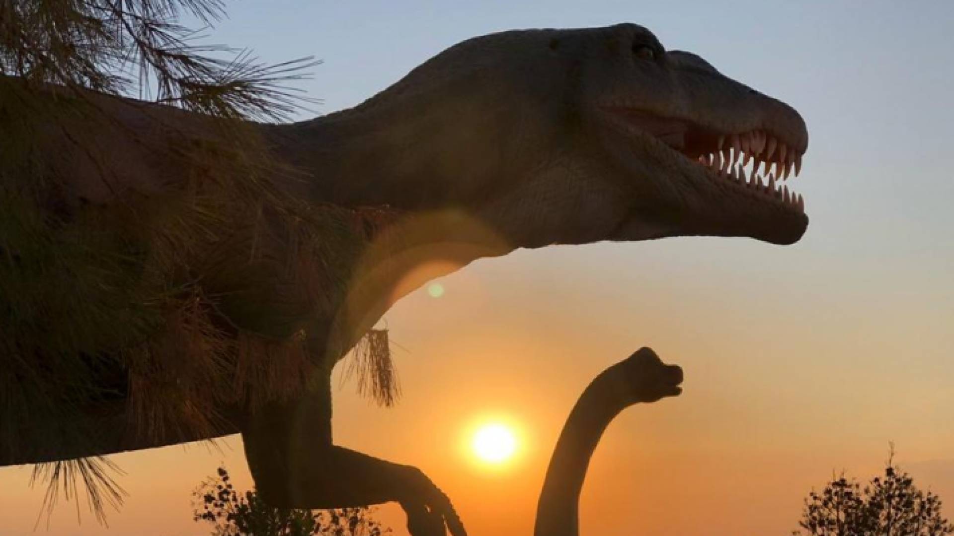 المتحف يعد الأول من نوعه بمنطقة الشرق الأوسط.