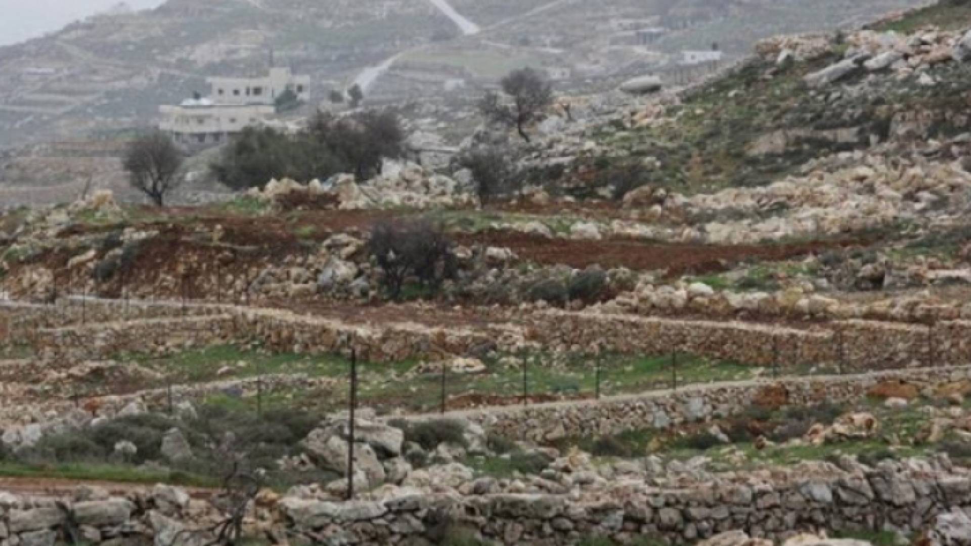 أراضي فلسطينية