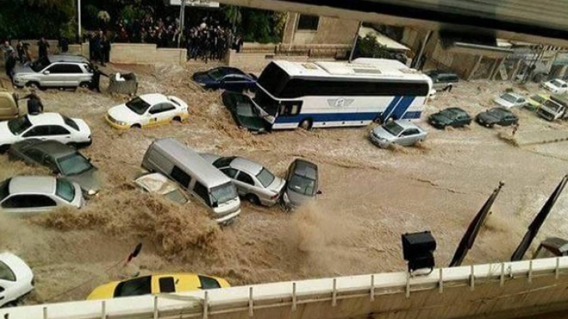 سيول عمان 2015