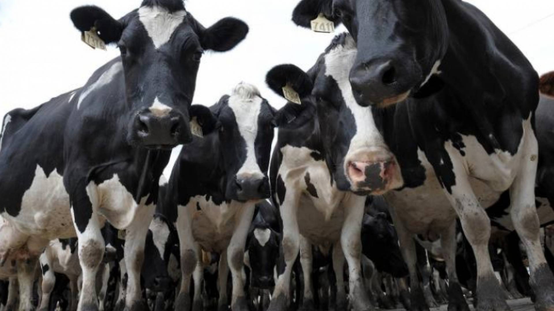 الصورة أرشيفية