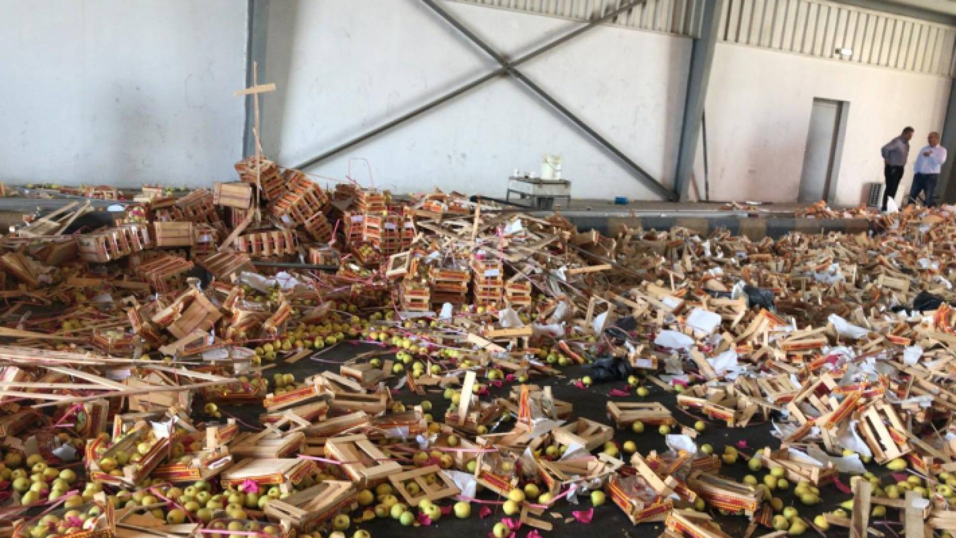 حاول تهريبها عبر صناديق فواكه