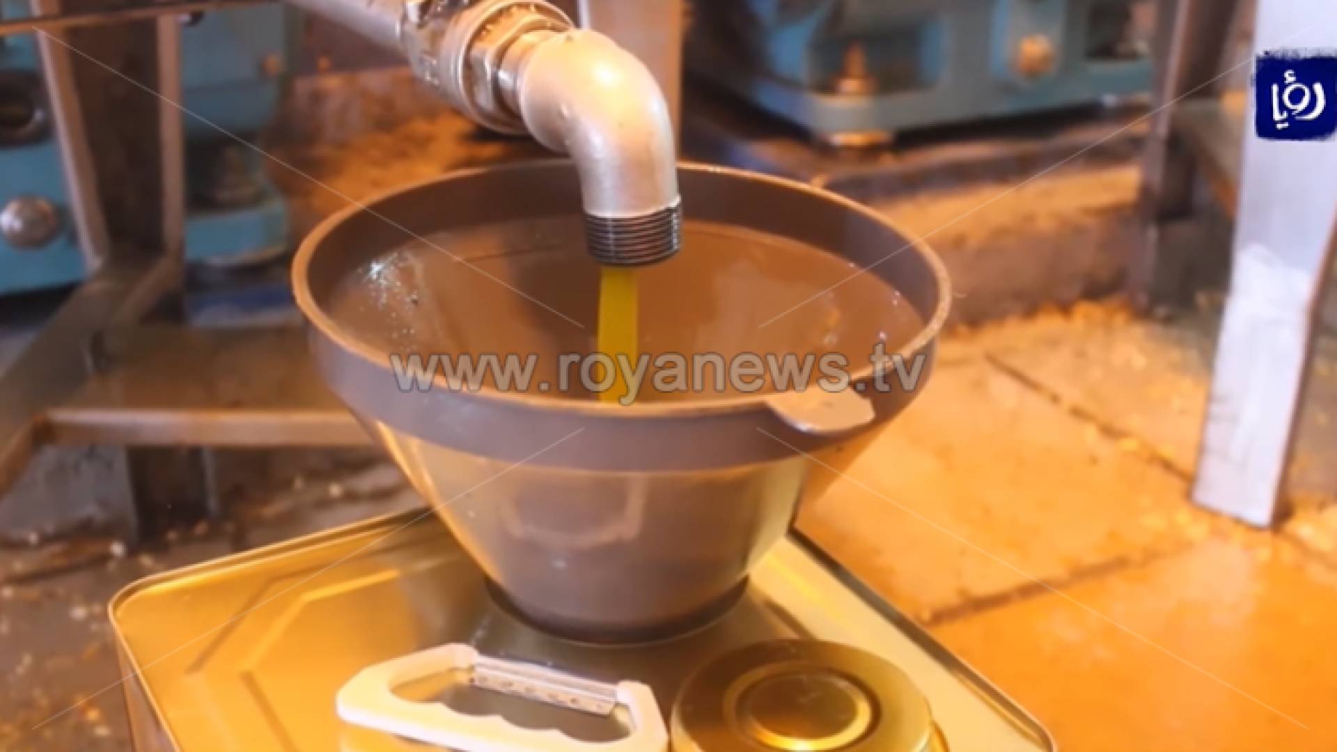 انخفاض أسعار زيت الزيتون في الأردن بنسبة 10%