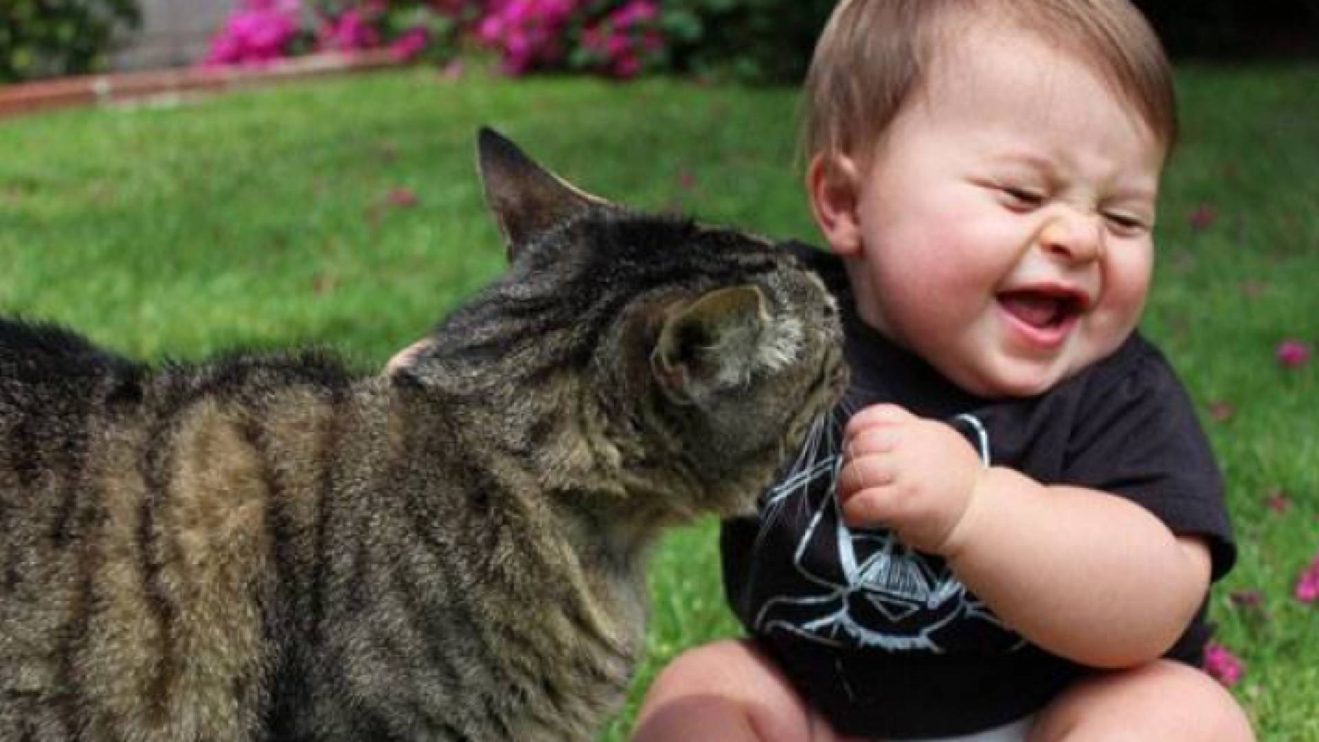 الصورة أرشيفية