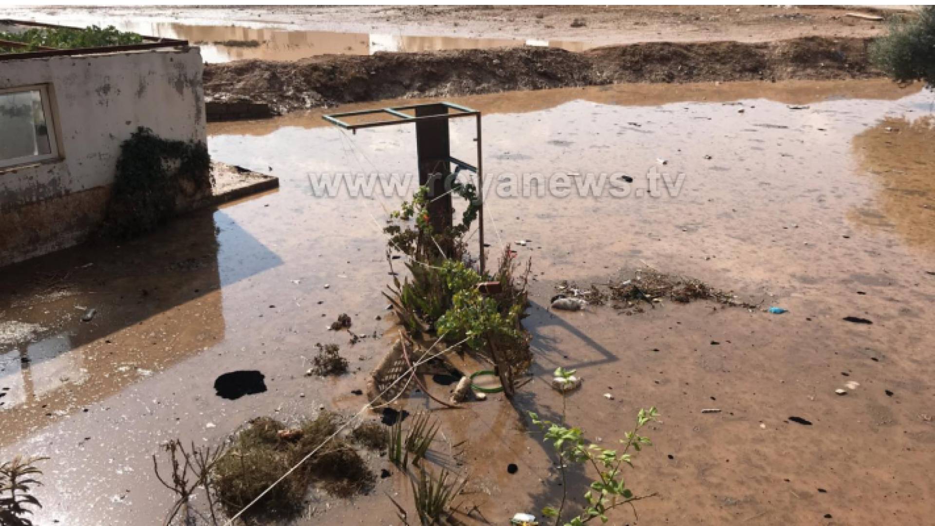 مياه الأمطار تداهم منازل المواطنين في البويضة بلواء الرمثا