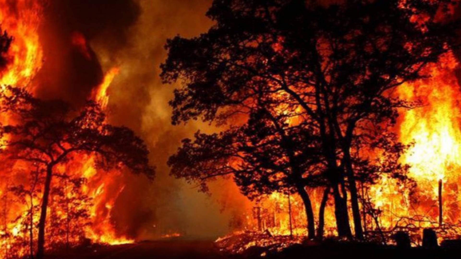 مخاوف من إمتداد الحرائق على طول الساحل الشرقي لأستراليا