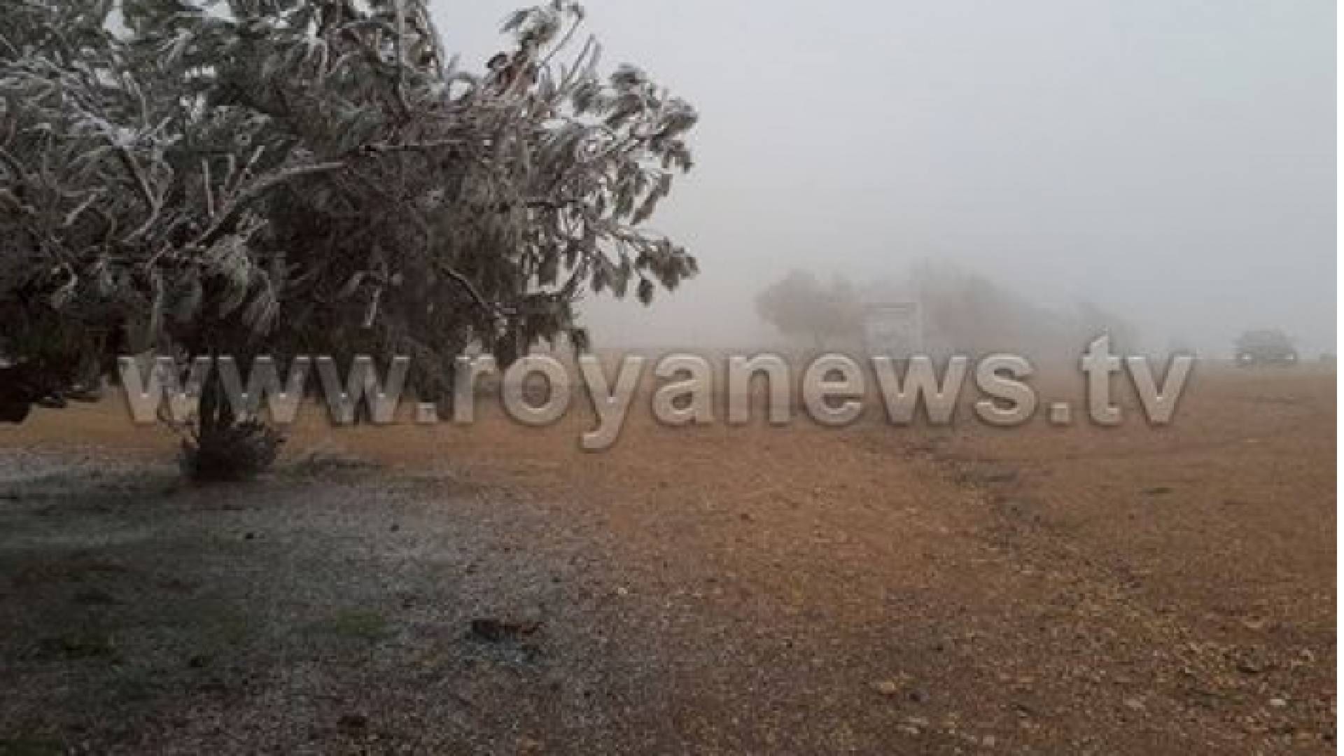 تشكل الصقيع - ارشيفية