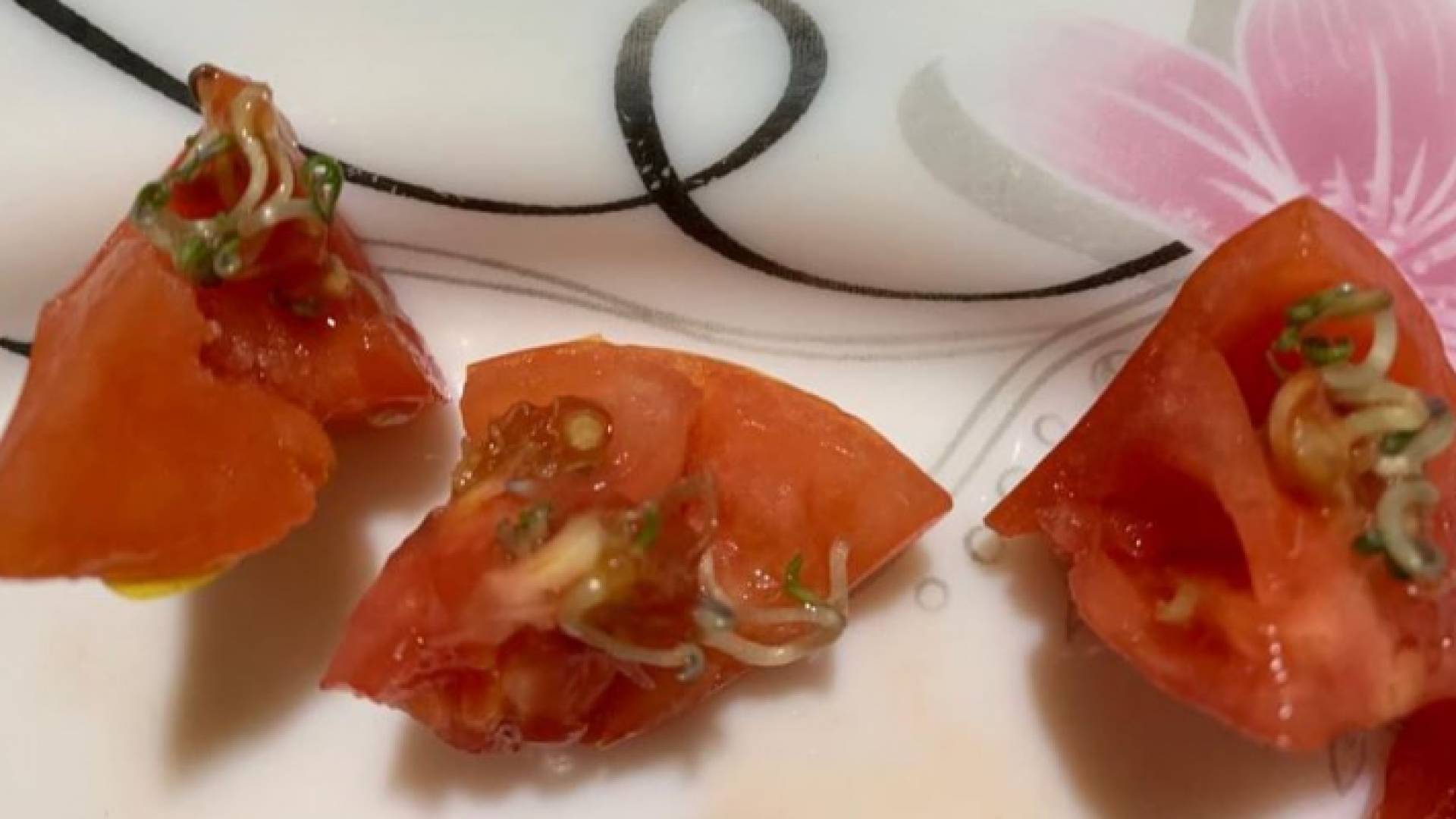 الصورة المتداولة على مواقع التواصل الاجتماعي