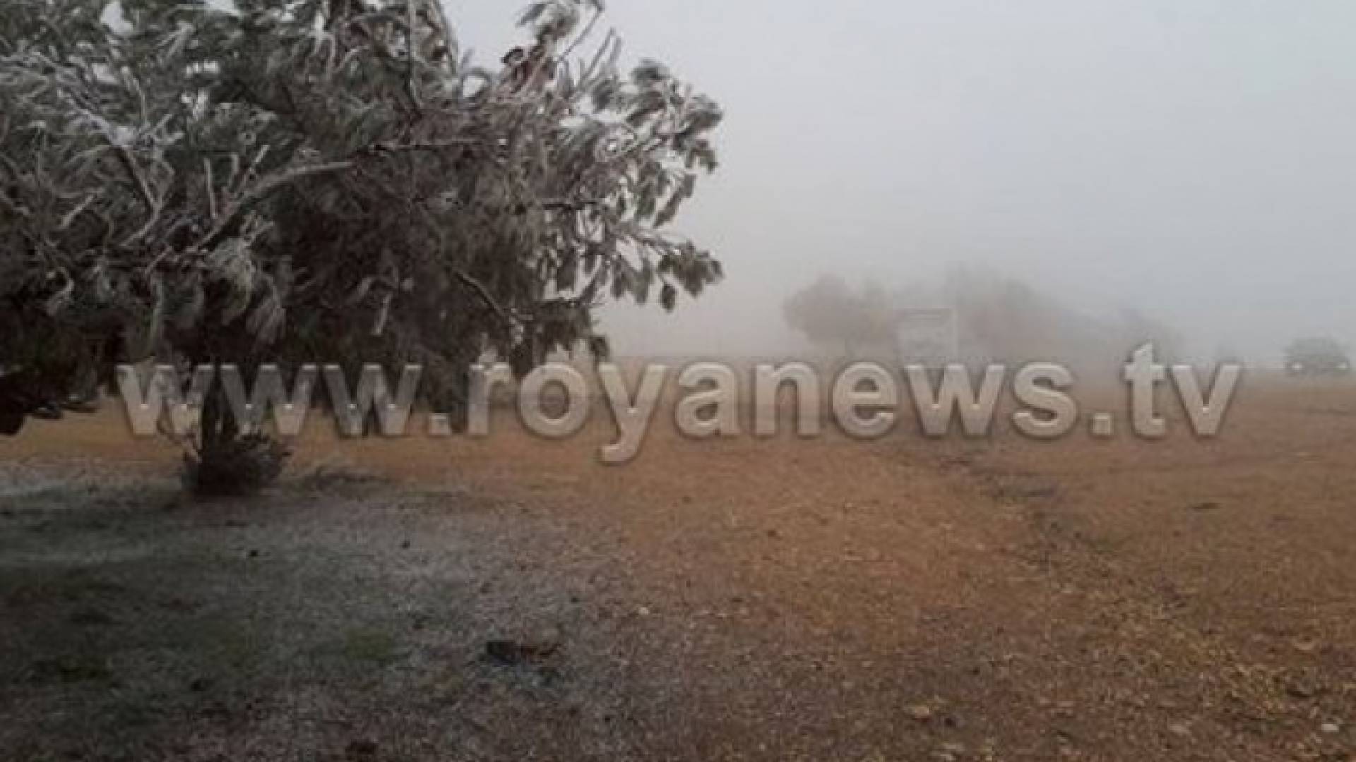 الصقيع - ارشيفية