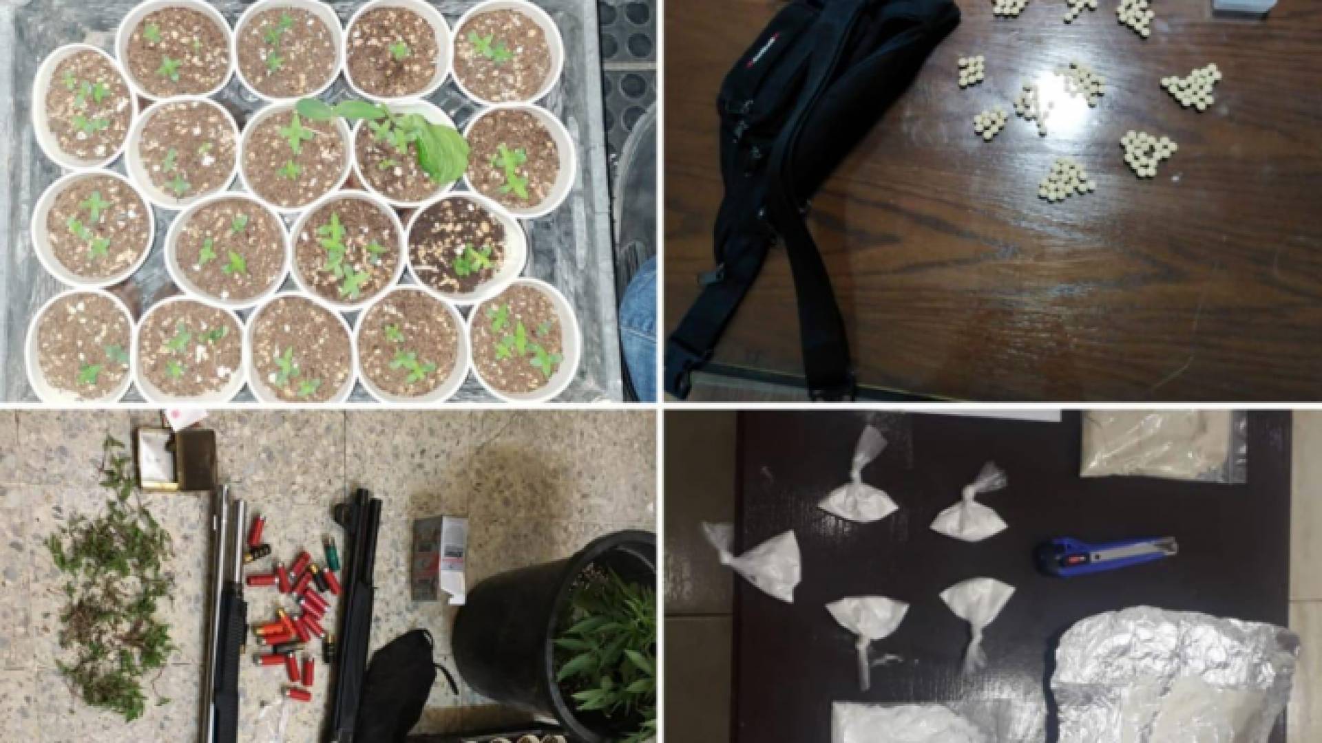 الصورة من المضبوطات