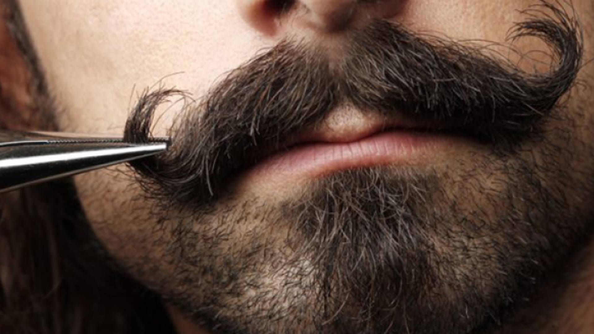 يسلط العالم الضوء على الرجل وإيجابياته