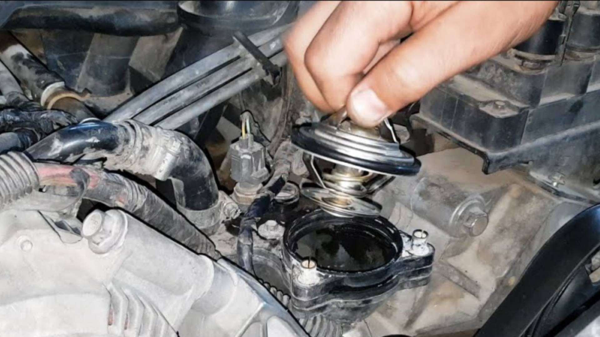 الصورة أرشيفية