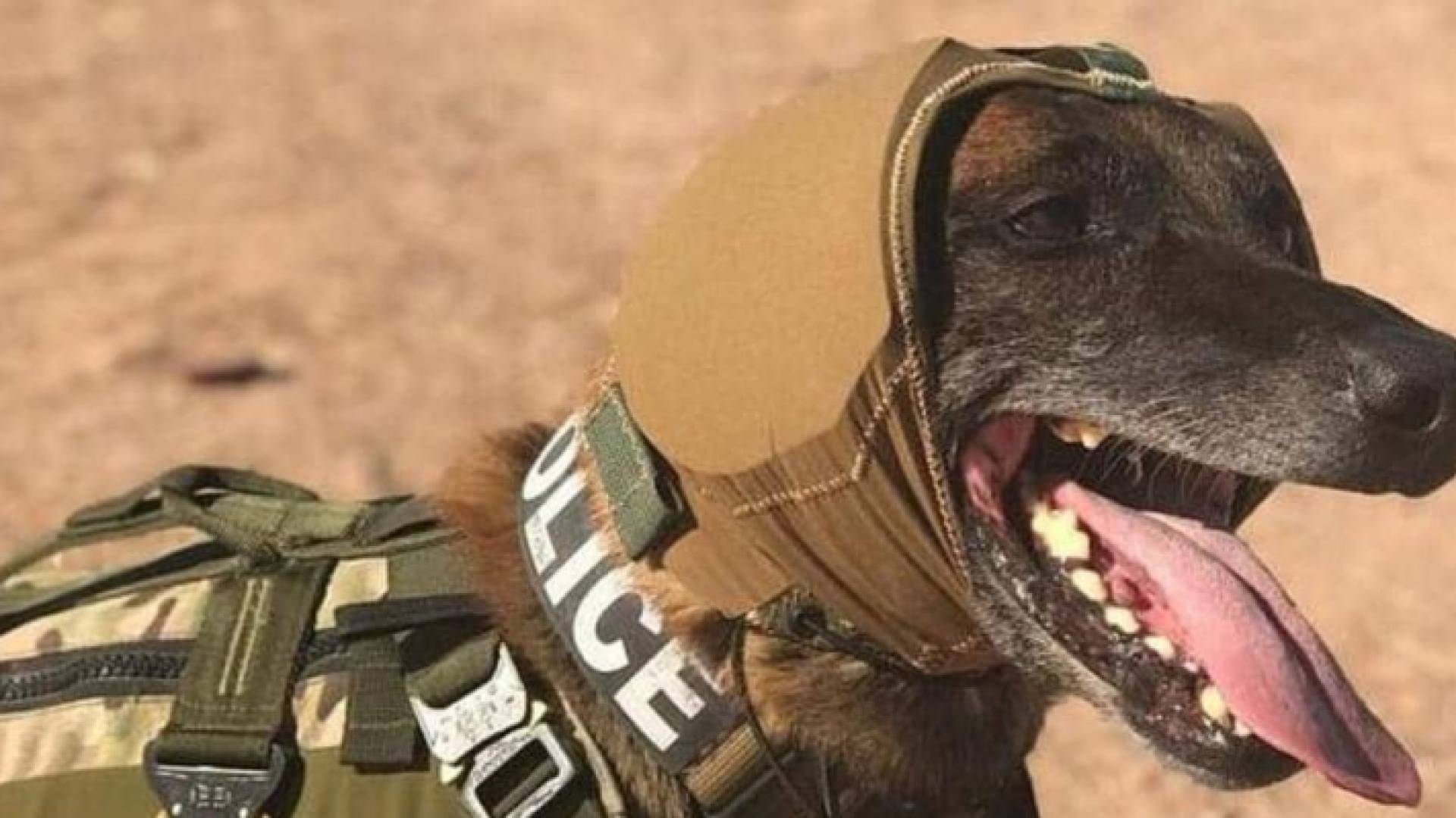 غطاء الرأس قابل للتمدد