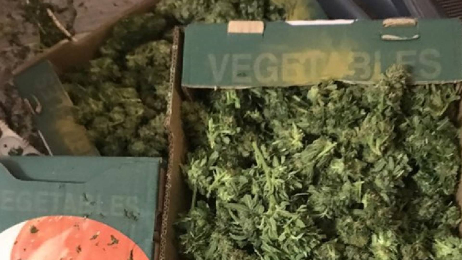 من المضبوطات