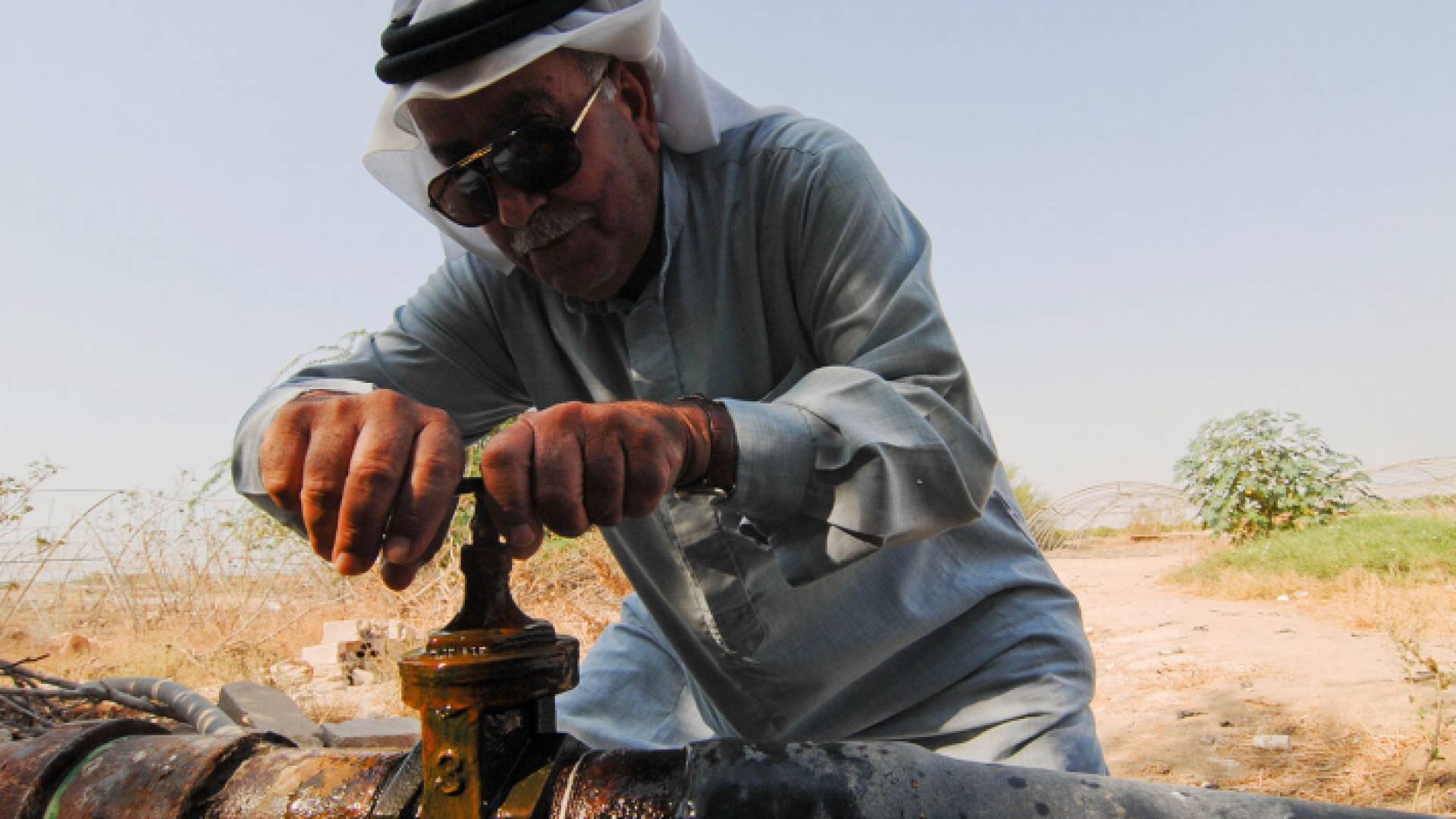 الصورة أرشيفية