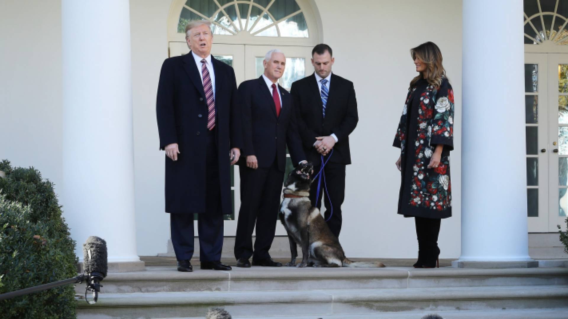 استقبال الكلب كونان في البيت الأبيض