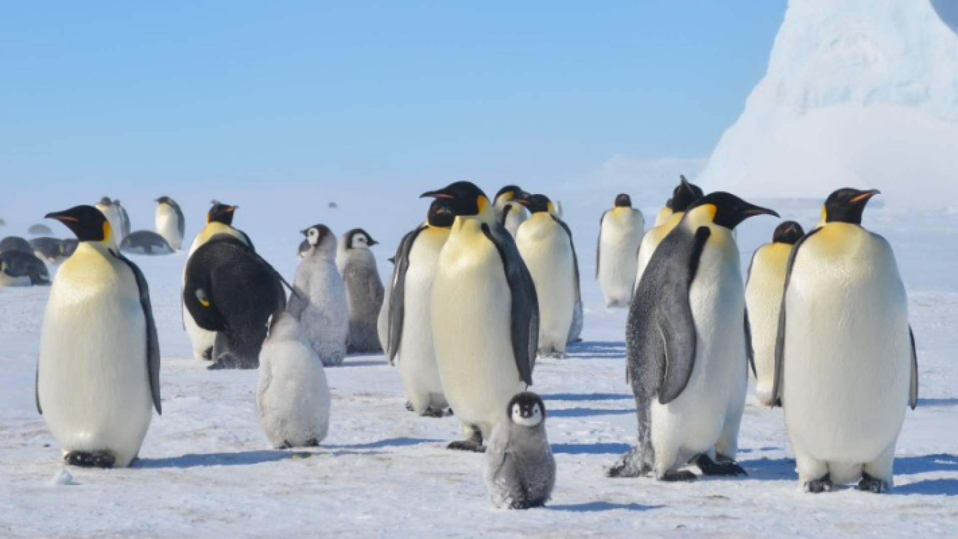 الصورة أرشيفية