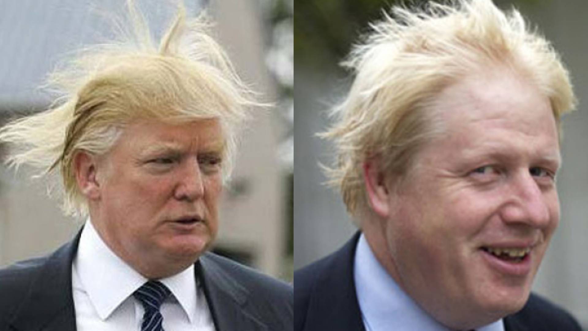 جونسون وترمب