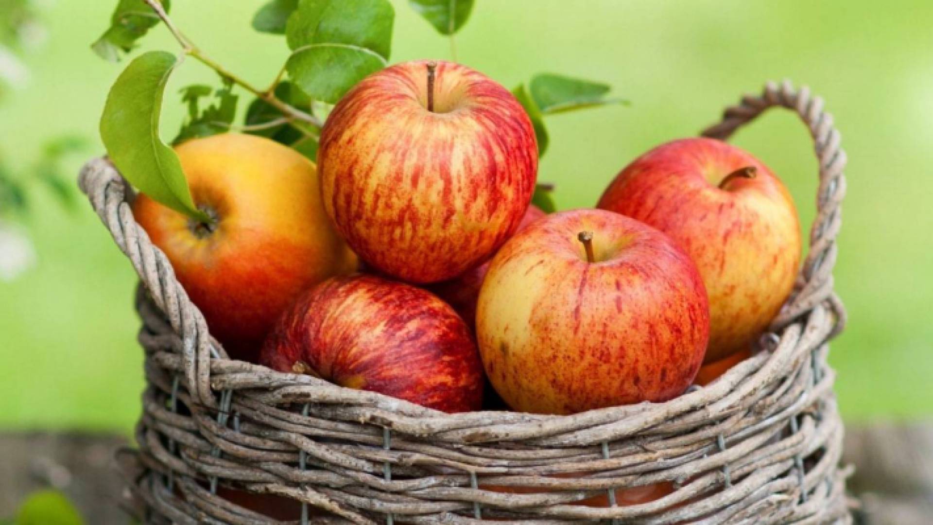 بلغت كلفة إنتاج النوع الجديد من التفاح أكثر من 10 ملايين دولار