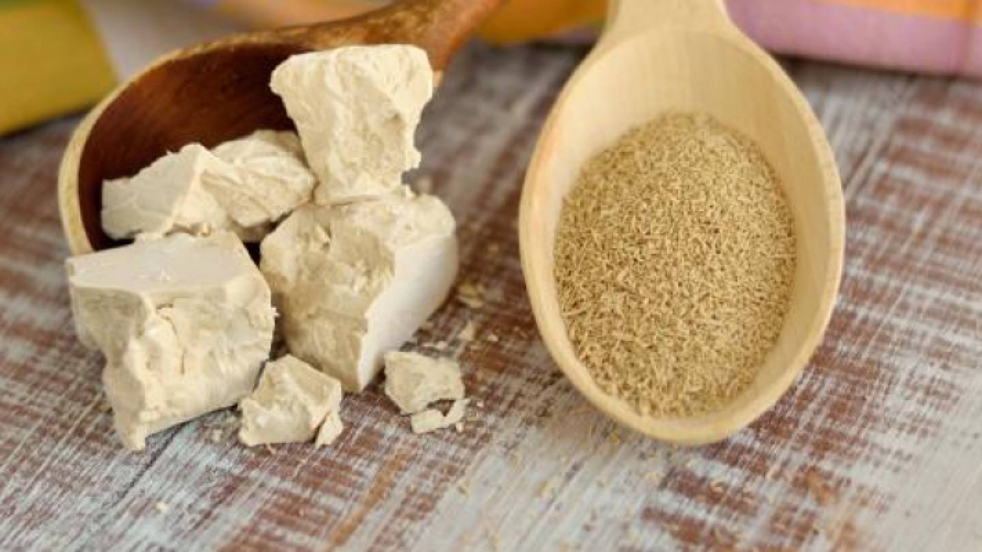 خميرة البيرة