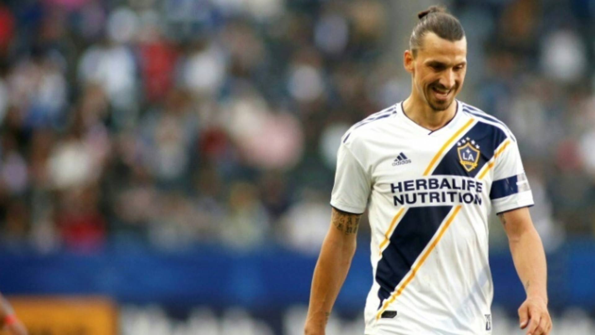 السويدي زلاتان إبراهيموفيتش يلمح الى إمكانية عودته الى ايطاليا