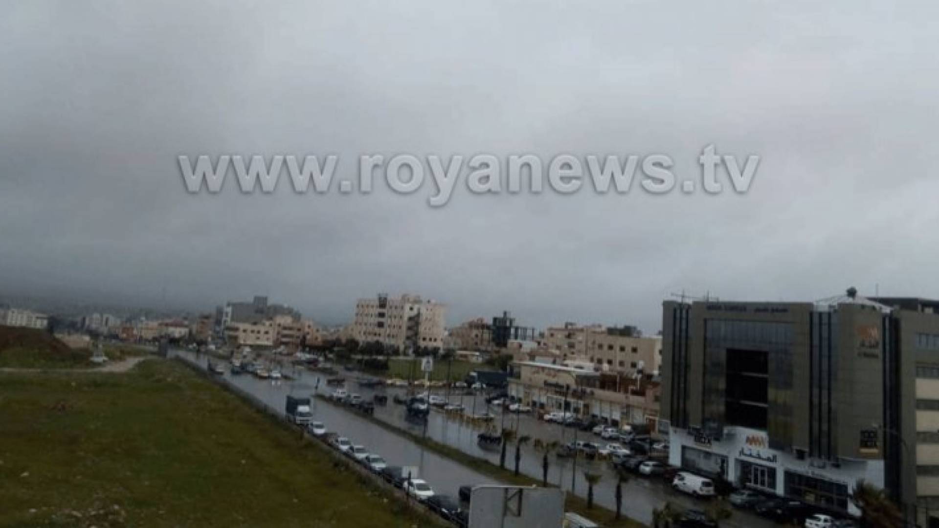 ارشيفية