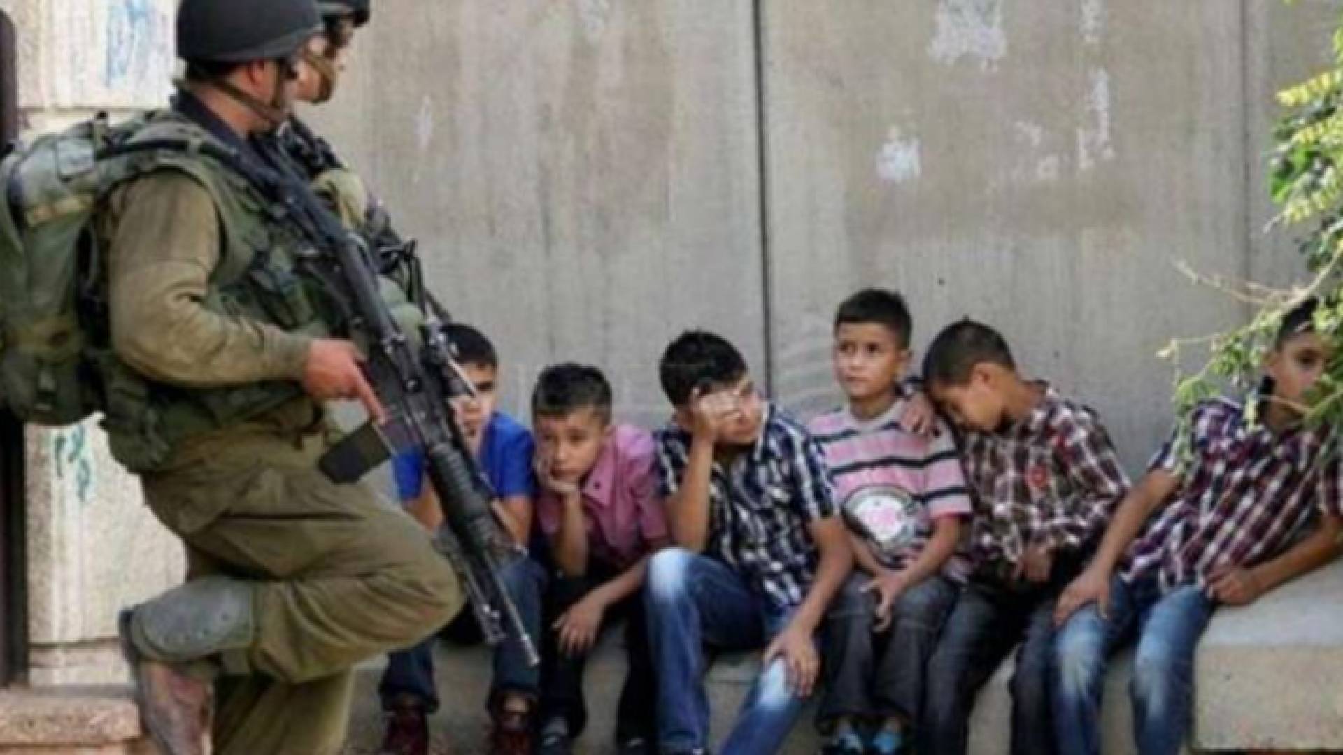 الاحتلال قتل 44 واعتقل 360 آخرين واستولى على 3 آلاف دونم الشهر المنصرم