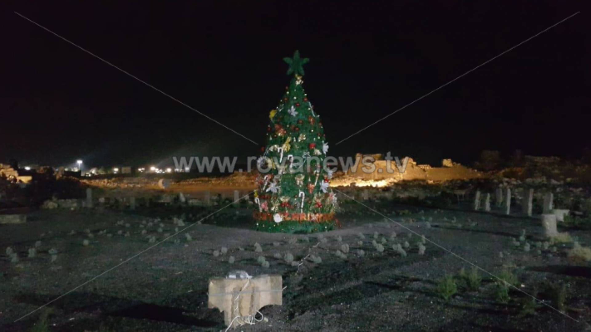 اضاءة شجرة عيد الميلاد في منطقة ام الجمال